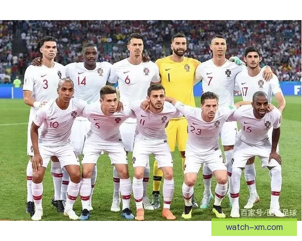 世界杯胜负预测专家推荐全方位分析助你精准预测比赛结果